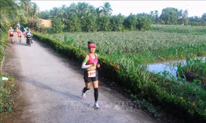 Giải marathon quốc tế tại Hậu Giang lan tỏa thông điệp chống biến đổi khí hậu