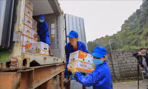 Xuất khẩu gần 7 tấn cam Cao Phong đầu tiên sang Anh