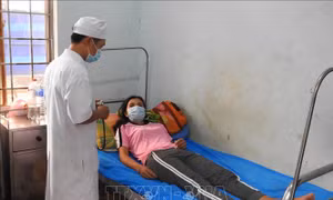 Thêm một huyện ở Kon Tum xuất hiện ca bạch hầu