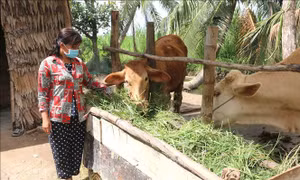 Huy động tối đa các nguồn lực xã hội thực hiện mục tiêu giảm nghèo bền vững