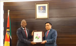 Việt Nam và Mozambique hướng tới đẩy mạnh hợp tác, phát triển nông nghiệp