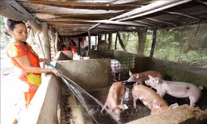 Đột phá trong xây dựng nông thôn mới: Bài 1- Sức bật từ nông thôn mới