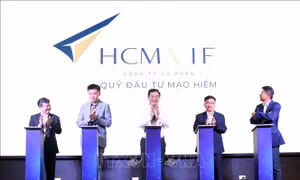 Quỹ đầu tư mạo hiểm TP Hồ Chí Minh nhận khoảng 50 đề xuất đầu tư