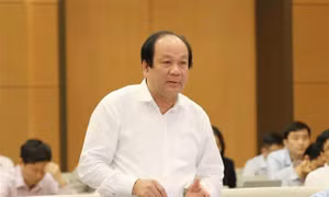 Viêc thực hiện các nội dung giám sát, chất vấn đạt nhiều kết quả tích cực 