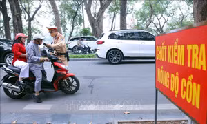 Tối mùng 1 Tết, xử lý trên 1.600 trường hợp vi phạm nồng độ cồn