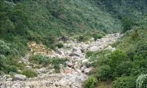 Nghiên cứu bảo vệ dòng suối Lương trên đèo Hải Vân