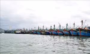 Nhiều tàu thuyền ở Bình Định nằm bờ vì giá xăng dầu tăng