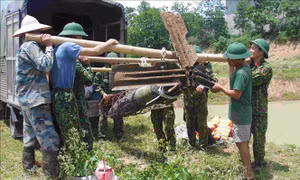 Trục vớt, di dời an toàn hai quả bom tại huyện Tiên Lữ