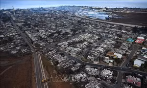 Hawaii (Mỹ) cập nhật số người thiệt mạng trong thảm họa cháy rừng