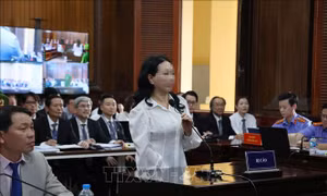 Tòa nhận đơn yêu cầu bồi thường thiệt hại của người mua trái phiếu trong vụ án Trương Mỹ Lan đến hết ngày 30/8
