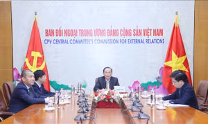 Trưởng ban Đối ngoại Trung ương Việt Nam - Cuba điện đàm trực tuyến 
