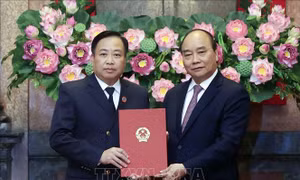 Chủ tịch nước trao Quyết định bổ nhiệm Phó Chánh án Tòa án Nhân dân tối cao