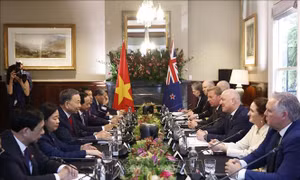 Tổng Bí thư, Chủ tịch nước Tô Lâm hội đàm chính thức với Thủ tướng New Zealand