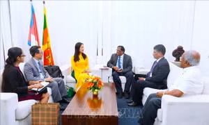 55 năm quan hệ Việt Nam - Sri Lanka: Tăng cường kết nối cấp địa phương