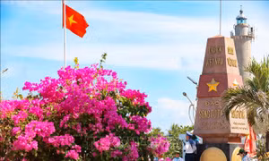 Gần lắm Trường Sa: Sức sống mãnh liệt nơi đầu sóng, ngọn gió
