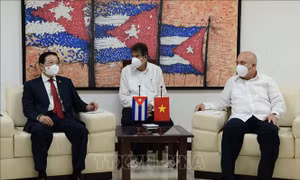 Đẩy mạnh trao đổi kinh nghiệm trong công tác xây dựng Đảng giữa Việt Nam - Cuba