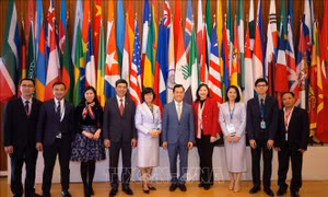 Việt Nam chờ đón năm 2025 với những hoạt động 'dày đặc và sôi nổi' tại UNESCO
