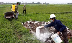 Thái Bình xây dựng kịch bản phòng chống dịch tả lợn châu Phi khi diễn ra trên diện rộng