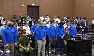 Trách nhiệm pháp lý trong vụ cao tốc Đà Nẵng - Quảng Ngãi