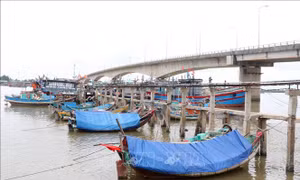 Quảng Trị nghiêm cấm tàu thuyền ra khơi từ chiều 23/9