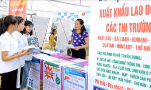 Rà soát số lao động Việt Nam đang làm việc tại Trung Đông - Bắc Phi