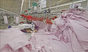 Đơn hàng tăng, doanh nghiệp dệt may nhiều tín hiệu khởi sắc