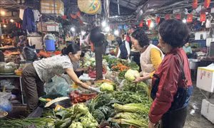 Thị trường Tết Bính Ngọ không khan hàng, không tăng giá đột biến