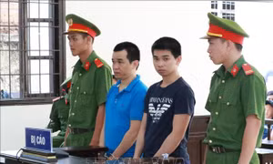 Ninh Thuận: Hai anh em giết cha ruột lĩnh án tù