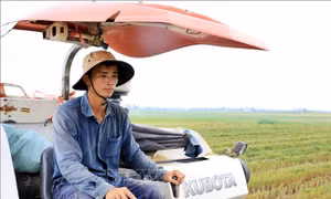 Đại điền 9X nuôi khát vọng làm giàu từ nông nghiệp