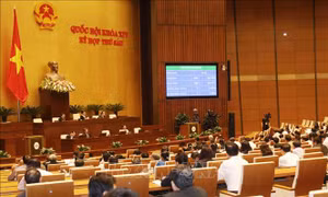 Thủ tướng Chính phủ phê duyệt Kế hoạch thực hiện CPTPP