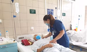 Chuyên gia chống độc khuyến cáo về loại thuốc diệt chuột thế hệ mới