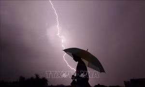 Gần 200 người thương vong do giông bão tại Ấn Độ