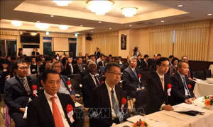 Đại sứ quán Việt Nam tại Nhật Bản tổ chức Hội nghị Á - Phi 20