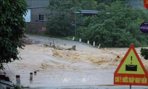https://mediacms.baotintuc.vn/Upload/DmtgOUlHWBO5POIHzIwr1A/files/2026/08/24/lu-lut-24082026.jpg