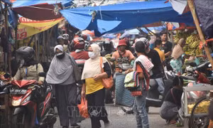 Indonesia bước vào giai đoạn chuyển tiếp từ đại dịch COVID-19 sang bệnh đặc hữu