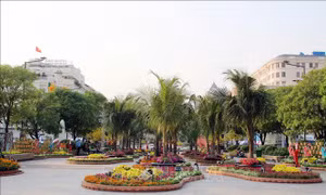 Không khí tốt trong ngày đầu năm mới Nhâm Dần
