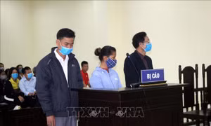Lập hồ sơ khống để 'ẵm' tiền đền bù, nguyên Chủ tịch xã lĩnh án 3 năm tù