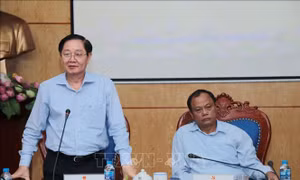 Tổ công tác về kiểm tra công vụ của Thủ tướng Chính phủ làm việc tại Bắc Kạn