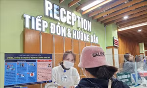 Những chính sách nổi bật có hiệu lực trong tháng 6/2025: Dừng cấp thẻ bảo hiểm y tế giấy
