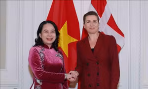 Phó Chủ tịch nước Võ Thị Ánh Xuân hội đàm với Thủ tướng Đan Mạch Mette Frederiksen