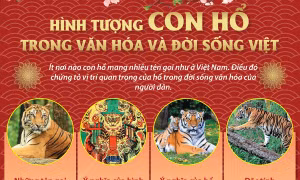 Hình tượng con hổ trong văn hóa và đời sống Việt