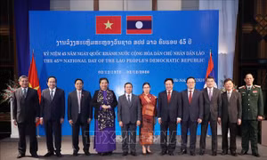 Chiêu đãi nhân kỷ niệm 45 năm Quốc khánh Cộng hòa Dân chủ Nhân dân Lào