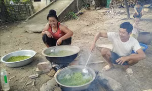 Hương lúa mới ở Chiềng Khoang