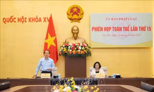 Thẩm tra dự thảo Nghị quyết của Quốc hội về việc lấy phiếu tín nhiệm, bỏ phiếu tín nhiệm