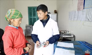 Ngân hàng Thế giới phê duyệt khoản vay hỗ trợ cải thiện dịch vụ y tế cơ sở tại Việt Nam