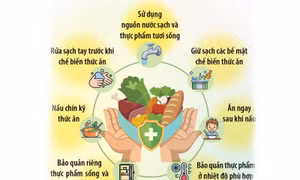 Bí kíp đảm bảo vệ sinh an toàn thực phẩm