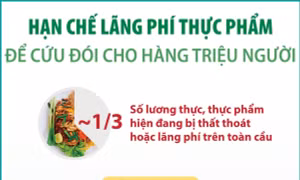 Hạn chế lãng phí thực phẩm để cứu đói cho hàng triệu người