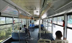 BA GPS hỗ trợ cài đặt miễn phí 'Di chuyển an toàn' để phòng dịch COVID-19 