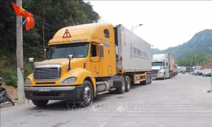 Quy định lộ trình áp dụng cửa khẩu với hàng hóa kinh doanh tạm nhập tái xuất