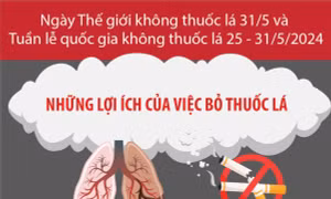 Những lợi ích của việc bỏ thuốc lá ngay lập tức